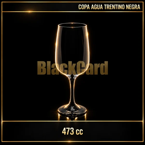 COPA AGUA TRENTINO NEGRA 473CC