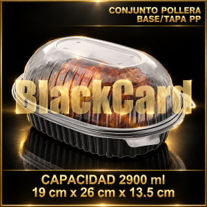 CONJUNTO POLLERA BASE/TAPA PP