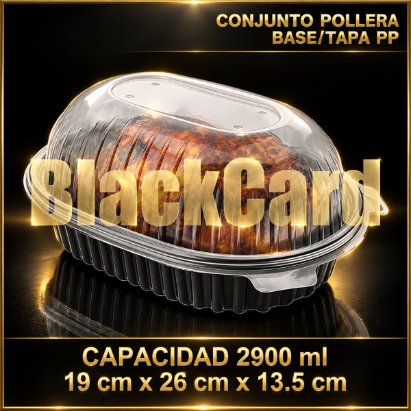 CONJUNTO POLLERA BASE/TAPA PP