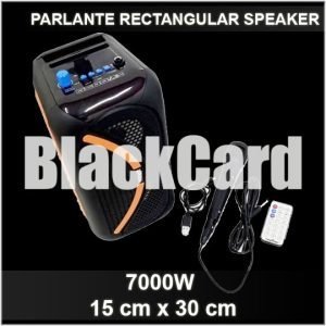 PARLANTE RECTANGULAR SPEAKER 7000W 15X30CM