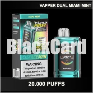 VAPPER DUAL 20K MIAMI MINT