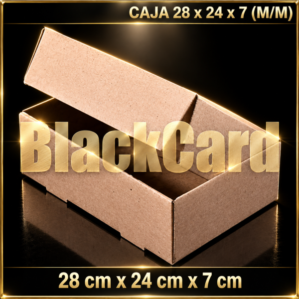 CAJA 28x24x7 (M/M)