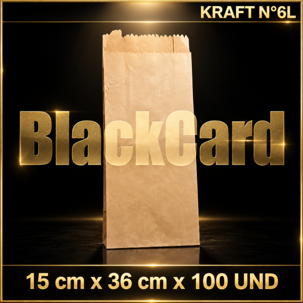 BOLSA KRAFT N° 6L x 100 (15 x 36)