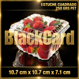 ESTUCHE CUADRADO 250 GRS PET (10,7 x 10,7 x 7,1)