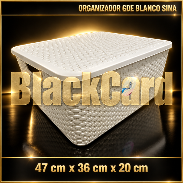 ORGANIZADOR GDE BLANCO SINA (47x36x20)