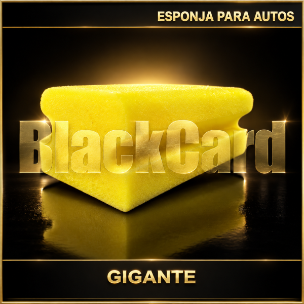 ESPONJA AUTO GIGANTE