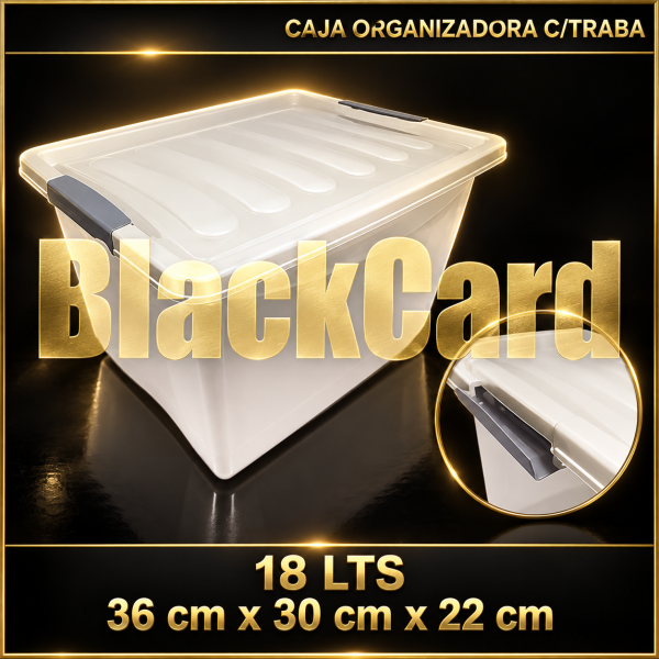 ORGANIZADOR STAR BOX 18 LTS