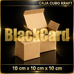 CAJA CUBO KRAFT (10 x 10 x 10)