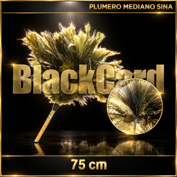 PLUMERO MEDIANO SINA