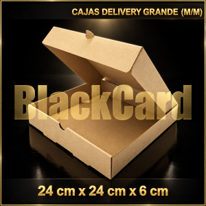 CAJAS DELIVERY GRANDE (M/M) (24x24x6)