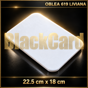 OBLEA EXPANDIDO 619 (22,5x18) LIVIANA