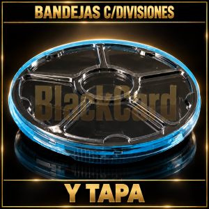 BANDEJAS C/DIVISIONES Y TAPA