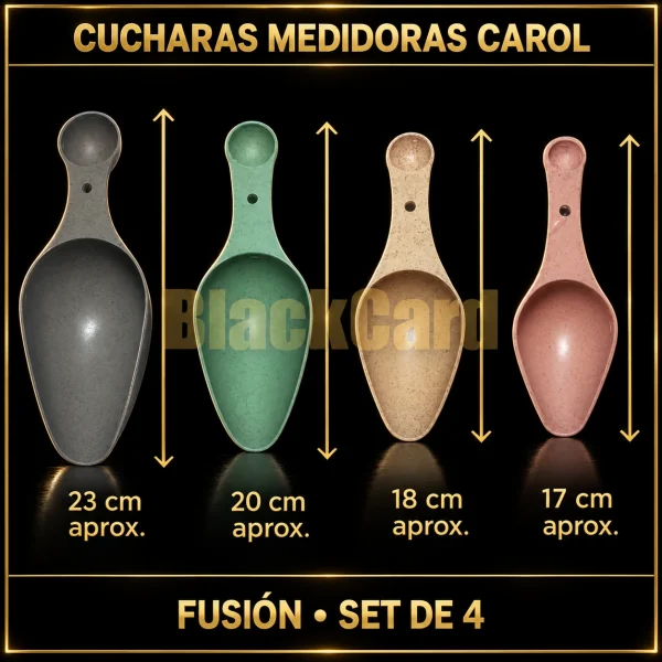 SET CUCHARAS DE MEDICION TAZA SURTIDA FUSION X4 CAROL - Imagen 2