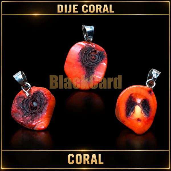 DIJE CORAL