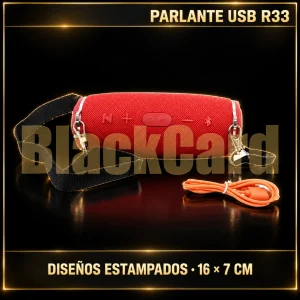 PARLANTE USB R33 DISEÑO ESTAMPADOS 16X7CM