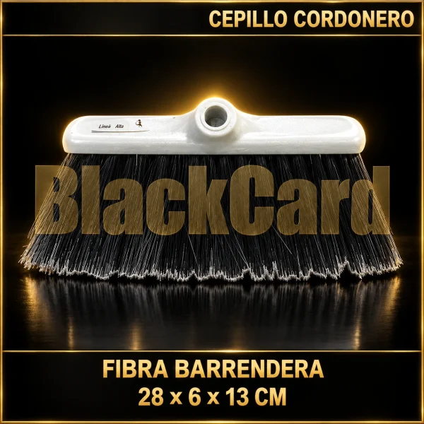 CEPILLO CORDONERO FIBRA BARRENDERA 28X6X13CM
