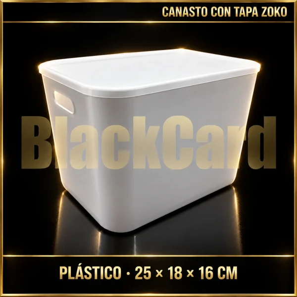 CANASTO ORGANIZADOR PLASTICO C/TAPA 25X18X16CM ZOKO