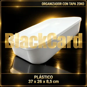 ORGANIZADOR DE PLASTICO C/TAPA 37X26X8.5CM ZOKO