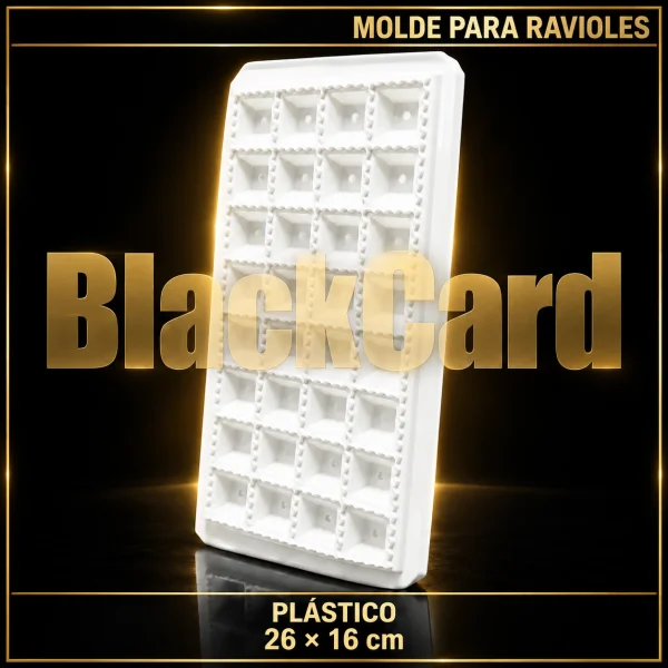 MOLDE PARA RAVIOLES DE PLASTICO 26X16CM