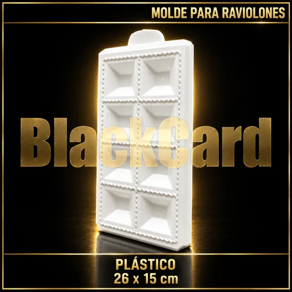 MOLDE PARA RAVIOLONES DE PLASTICO 26X15CM