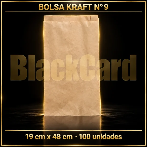 BOLSA KRAFT N° 9 x 100 (19 x 48)