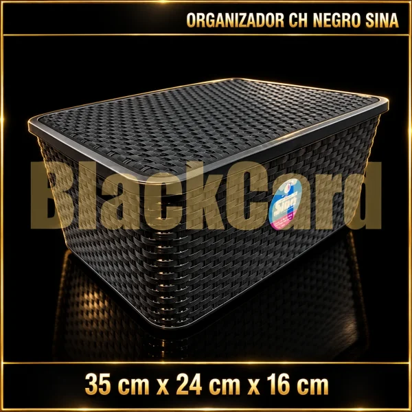 ORGANIZADOR CH NEGRO SINA (35x24x16)