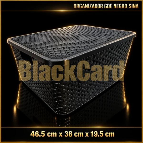 ORGANIZADOR GDE NEGRO SINA (46,5x38x19,5)