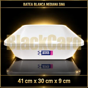 BATEA RECTANGULAR BCA MD SINA 41X30X9