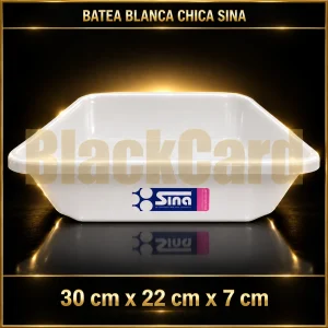 BATEA RECTANGULAR BCA CH SINA 30X22X7