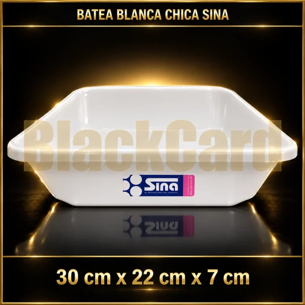 BATEA RECTANGULAR BCA CH SINA 30X22X7