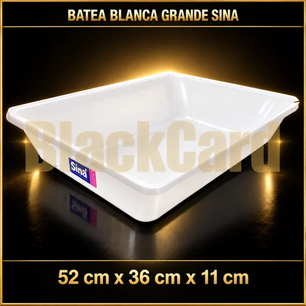 BATEA RECTANGULAR BCA GD SINA 52X36X11